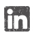 Sofia Cardoso linkedin